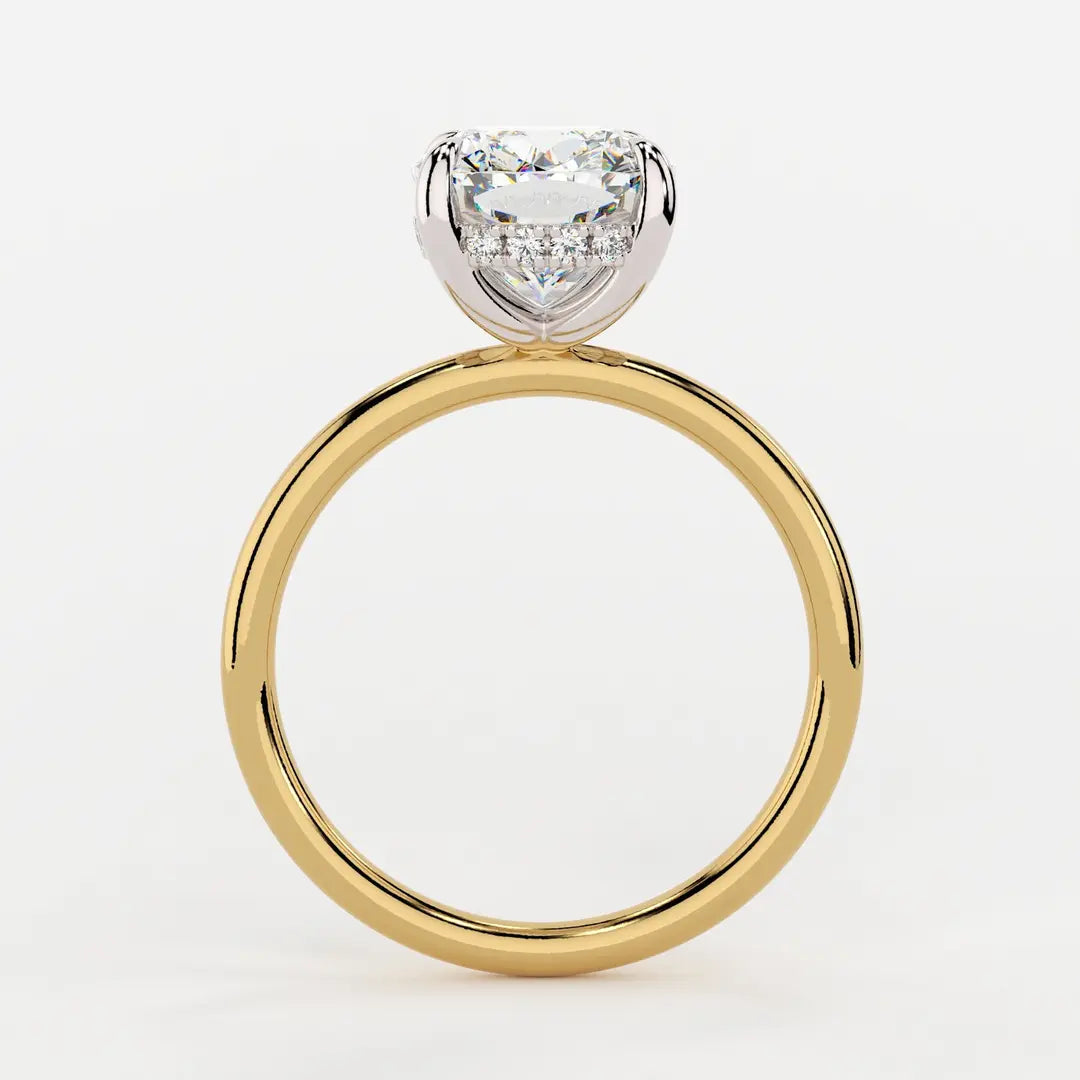 The Harper Ring H